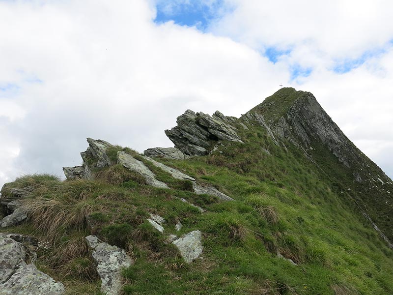 Toinigspitze